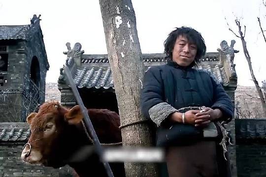 从抓阄倒霉蛋到亡命护牛人,黄渤最惨的一个角色 我的观影报告