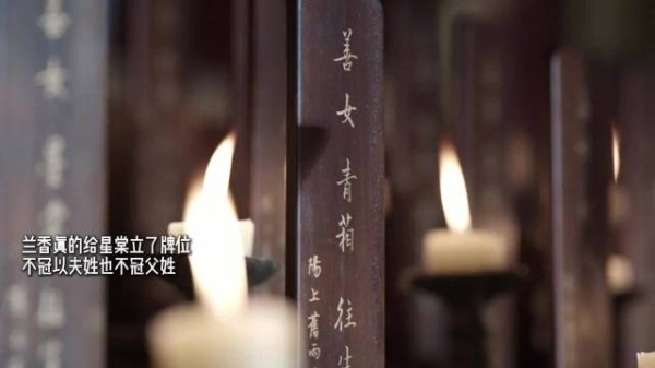 《兰香如故》最让人服气的是,连骡子都有记忆点…