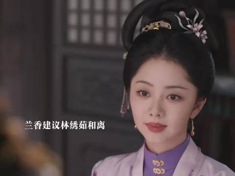 袁绍辉纳妾,兰香劝林绣茹和离
