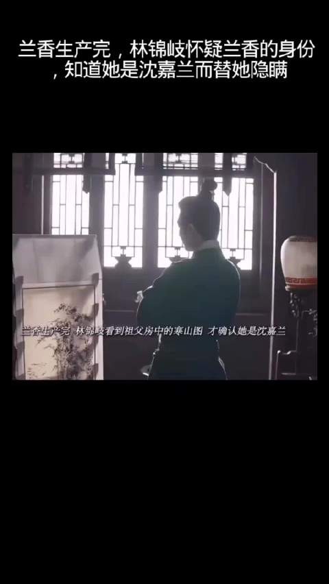 林锦岐认出兰香是沈嘉兰,烧掉一箱证据