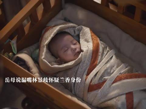 岳母说漏嘴林锦歧怀疑兰香身份