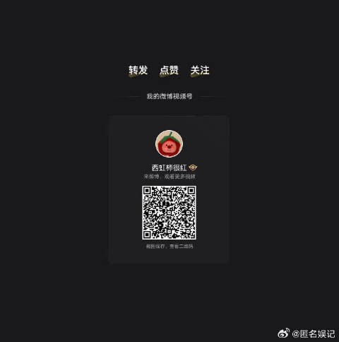 一路坚持走到现在，突然止步于此，这份难过真的很难假装不在意