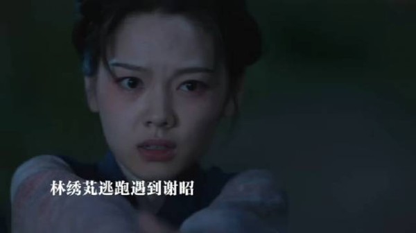 林绣芄逃跑遇到谢昭