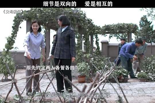 好羡慕两个人这样的爱情,相互扶持,玫瑰和面包都有了 父母爱情