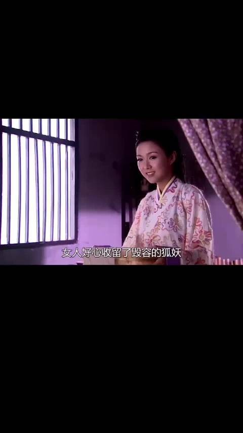女人好心收留了毁容的狐妖，没想到狐妖却看上了她的脸皮