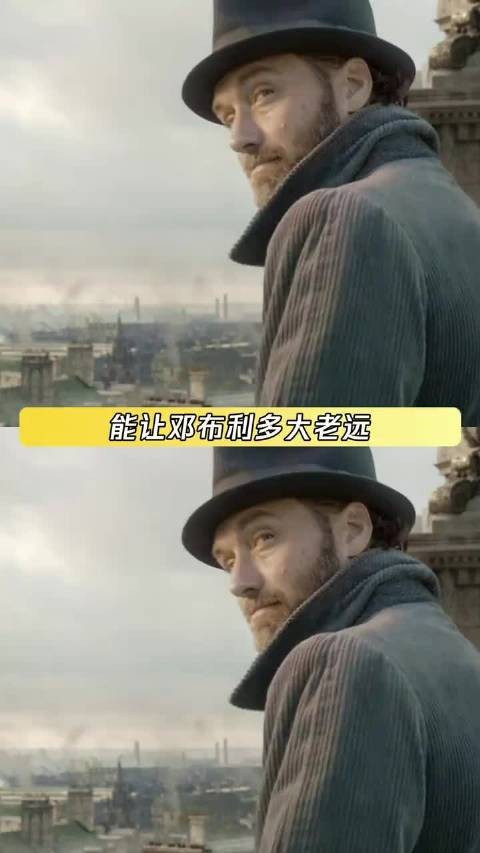 邓布利多召唤之人,格林德沃之罪,尼可勒梅现身