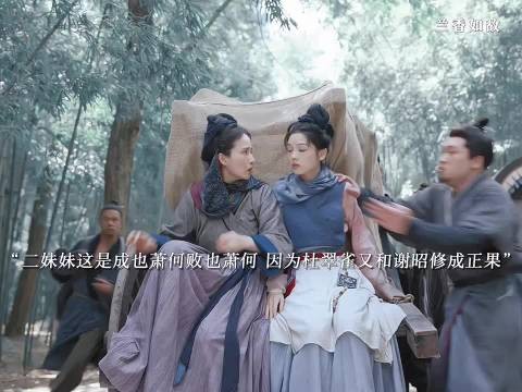 这个杜翠雀怎么逮着二妹妹薅啊，孽缘来的吧！