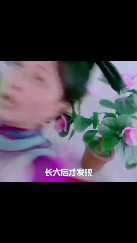 她是唯一一个抛夫弃子回到现代的穿越女