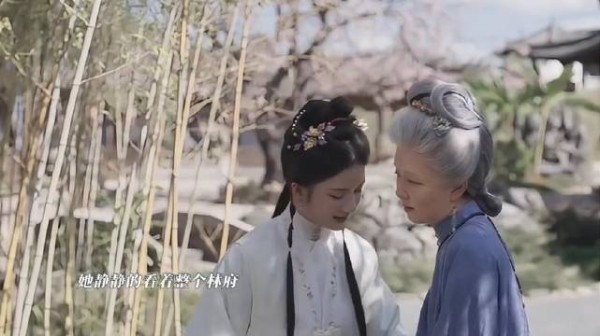 兰香老了，年过八旬，眼看着林府人越来越少，在睡梦中安然去世