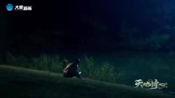 个人偏好与仙鹤塑的关联,偏爱鹤望兰选择