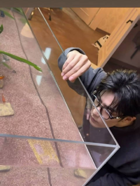 萌之,咋还发上限时动态了