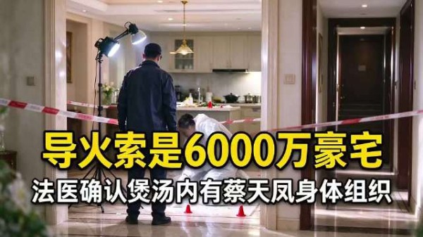 法医确认煲汤含蔡天凤人体组织,导火索系6000万豪宅