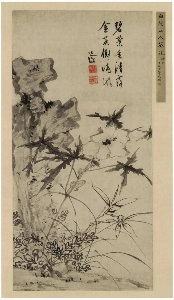 解读:陈淳的水墨花卉写生