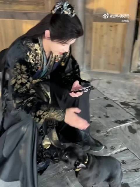 我们家的大机灵鬼可聪明着呢，爸爸碰不上分毫
