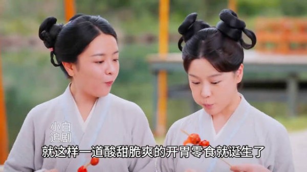 惜花芷:落魄千金卖糖葫芦,半年带家人住豪宅