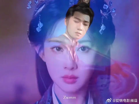权谋味这不是来了