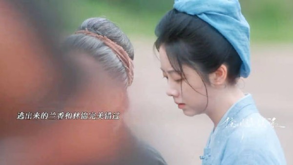 二两赏银是开端,视而不见是结局,林锦岐的偏爱,从来都与吕蕺儿无关