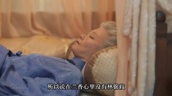 你们说兰香到最后到底有没有爱上林锦歧
