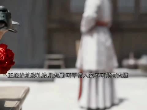 正经的纳彩礼该用大雁,可平常人家不可能有活雁,不讲究的就用了别的…