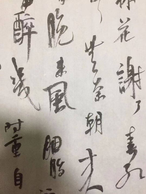 微信图片_2026-10-08_221647_176.jpg