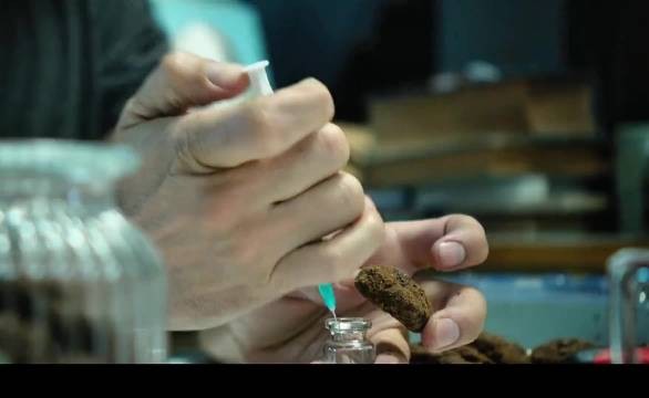 他用注射器把毒药打进饼干里，准备帮病痛缠身的狗狗解脱