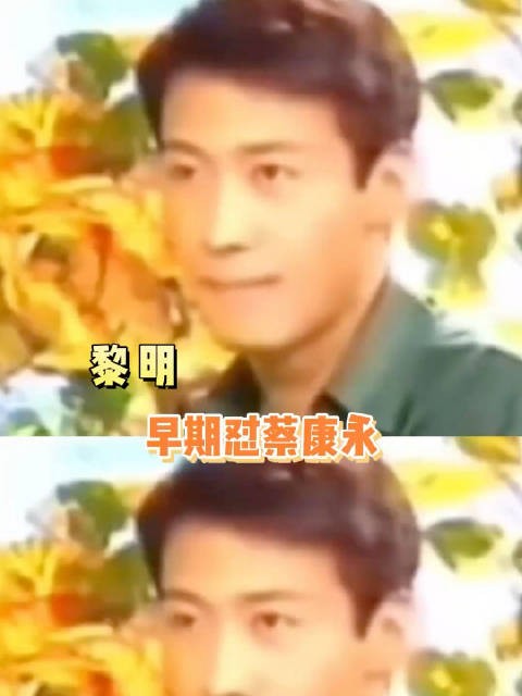 黎明早期也怼过蔡康永！鸭子！暗示对方是同X恋，好高招