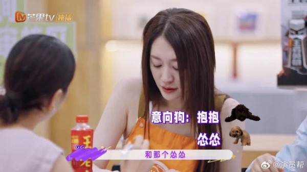 使出浑身解数帮毛孩子找归宿,孙怡和周翊然这份温柔太戳人了