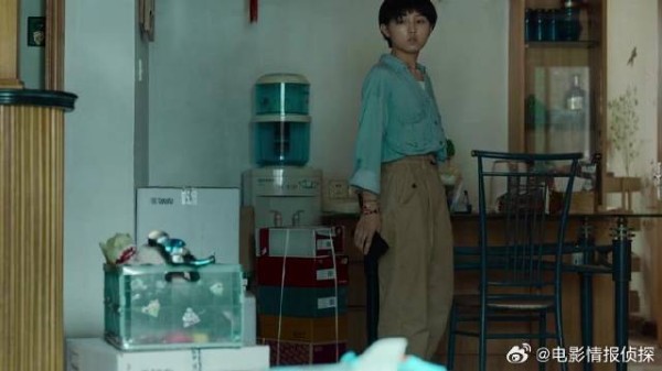 父母车祸去世 留下小十几岁的弟弟，姐姐毫无应对之法