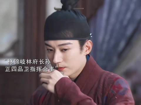府中的女子性格各有特色，这个家没有林锦岐迟早乱成一锅粥，兰香如故