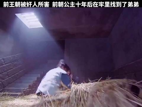 前王朝被奸人所害,没想到前朝公主十年后竟在牢里找到了弟弟