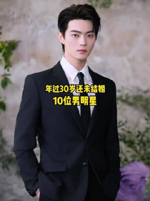 三十加依旧保持单身,十位男明星事业红火感情却没着落