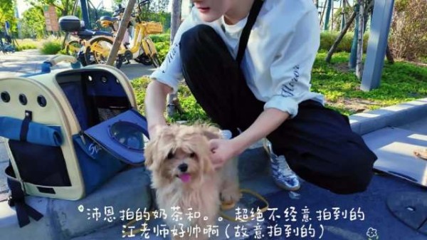 霖嫂子与老公孩子散步的一天, 源:水印