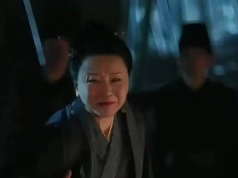 小秦氏机关算尽养大的两个孩子，一个国之栋梁，一个敦厚善良