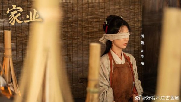 《家业》杨紫 杨紫、韩东君 李祯查明了李家的生漆问题