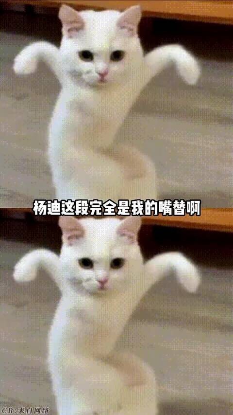 原来抢不到演唱会门票是这种感觉啊!