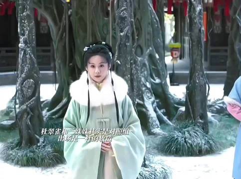 兰香如故林绣茹杜翠雀对照组命运反差拉满
