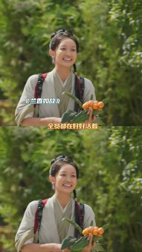 兰香如故的时间姑娘,原来菊花脑是一种野菜啊