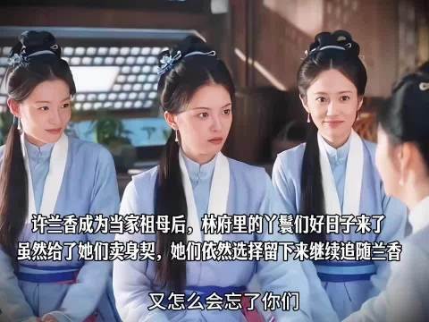 许兰香成当家祖母,丫鬟获卖身契仍留林府追随