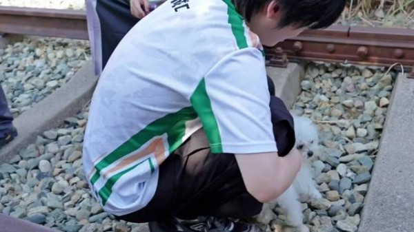 发现两只小可爱