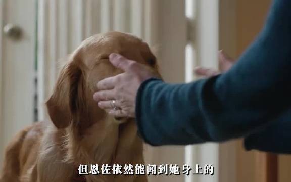 它察觉女主人身体异样狂吠无力守护