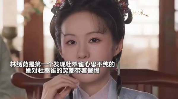 直到杜家兄妹差点毁了林家,林锦齐才意识让他们进府是引狼入室