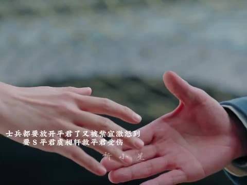 紫萱激怒士兵要杀平君,虞昶轩保护平君受伤