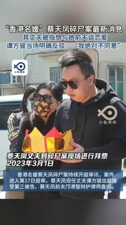 蔡天凤现任丈夫承认曾借500万赌钱