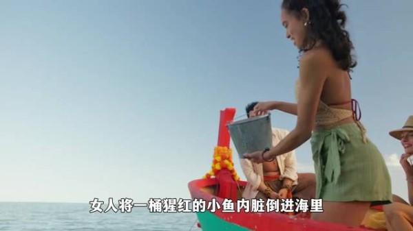 作死姐妹花非要近距离观赏鲨鱼，结果被困鲨群，付出了惨痛代价