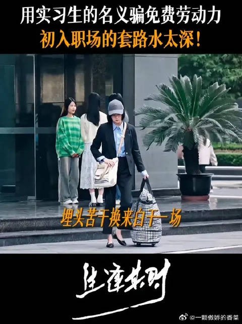 新人认真熬过试用期,可从开始这就是一场职场“杀猪盘”