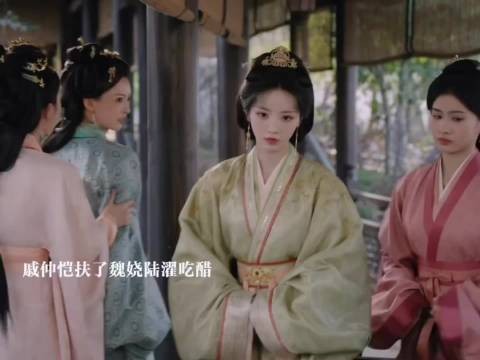 陆濯护妻碧桃是大夫人的人魏娆身份被疑