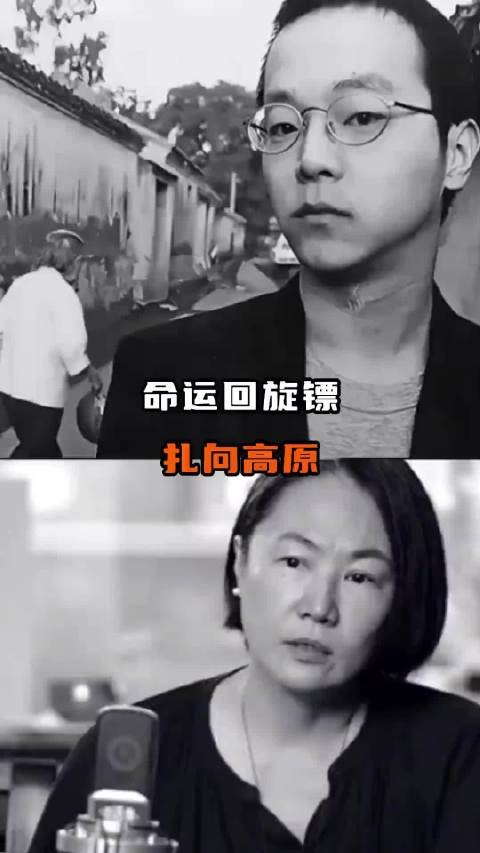 王菲高原微博互动，转发窦唯歌曲引感慨