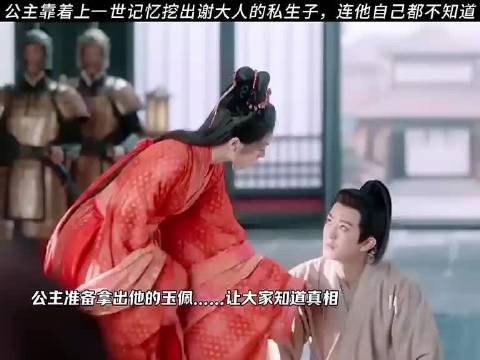 公主挖出谢大人的私生子,连他自己都不知道 度华年