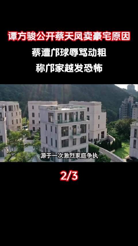 我有点看不懂啊,谁来给我解释一下 所以两任丈夫什么关系呢?