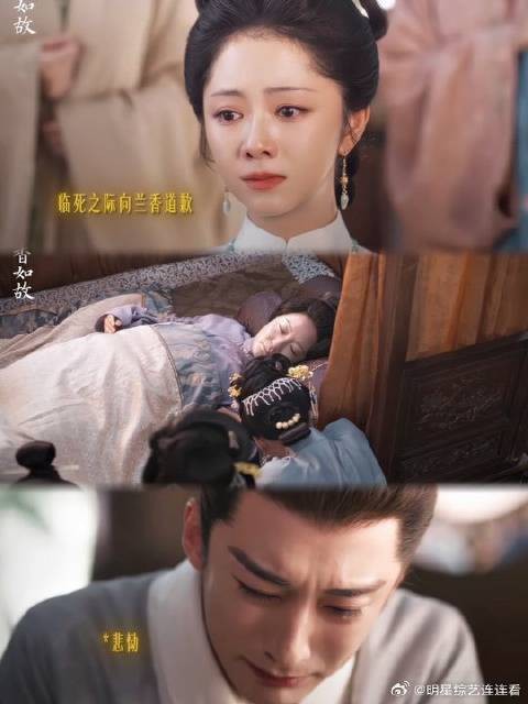 从此以后,林府就交给你了